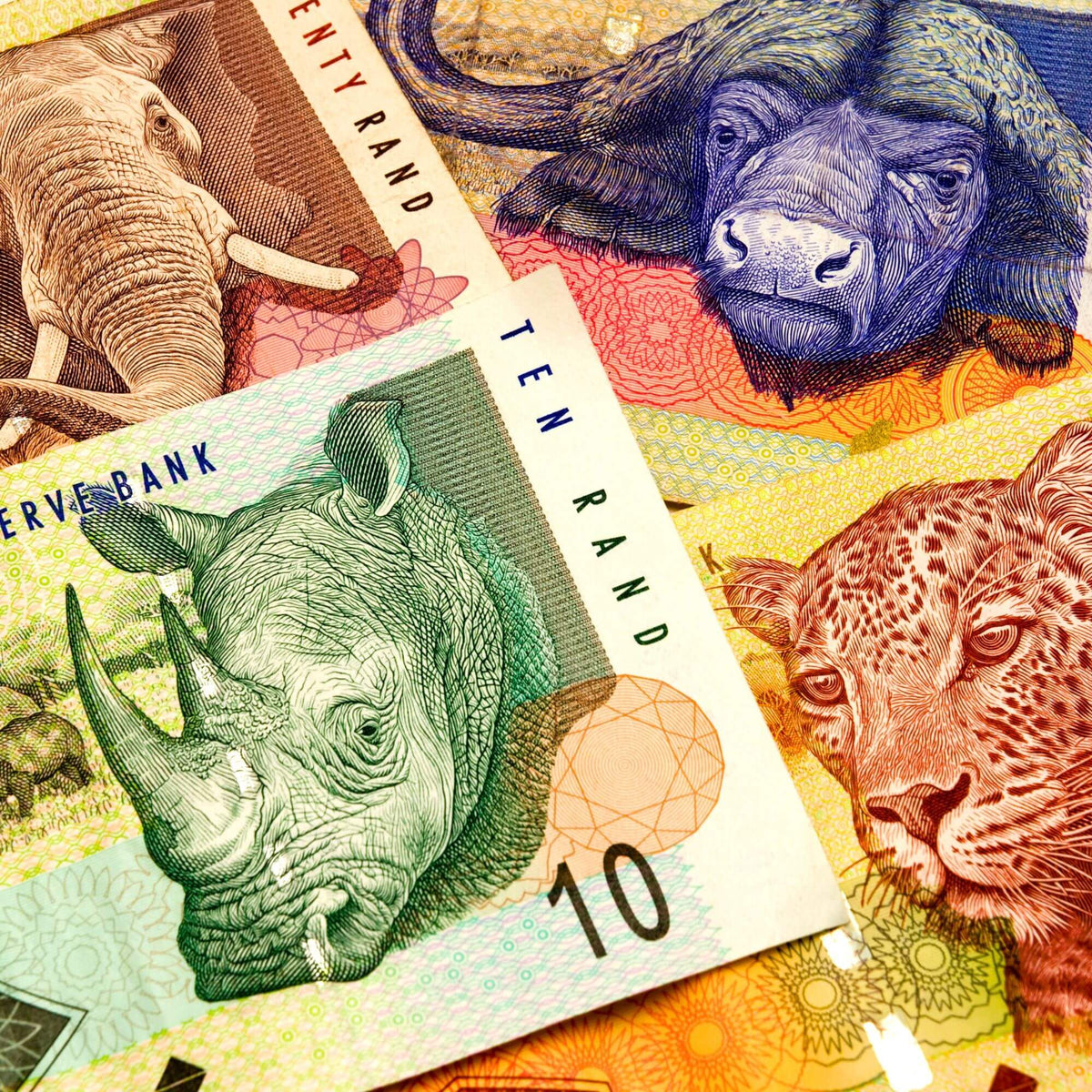 Rectangular Rands Black | Vontelle – Vontélle Eyewear